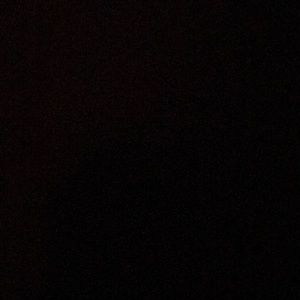 Meet your Posher, Trevor